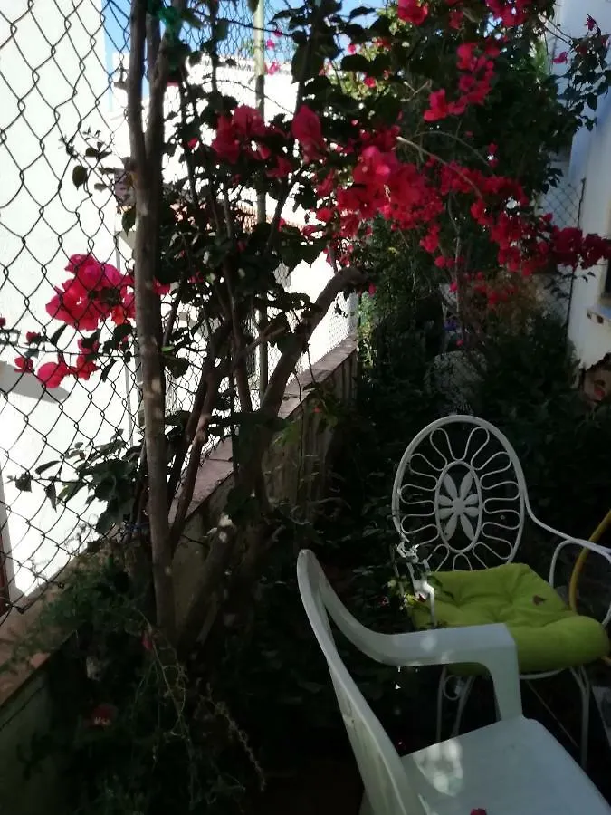 Can Pau Guesthouse Llançà 0*,  España